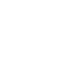 Cheetah Head