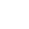 Cat Portrait Head