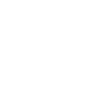 Pomeranian Dog Pomeranian Head