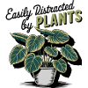 Botanical Plant Pot Illustration