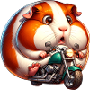 Guinea pig on motorcycle adventure