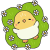 Flowering Spring Chick
