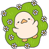 Flowering Chick on Pastel Green