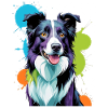 Buntgespritzter Border Collie