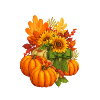 Herbsternte Kürbisse und Sonnenblumen