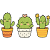 Cutie Cactus Trio