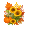 Herbsternte Sonnenblumen