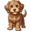 Labradoodle Welpe süß