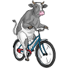 Vélo Vache