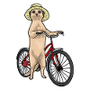Vélo Meerkat