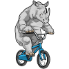 Vélo Rhino