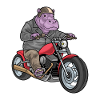 Moto Hippopotame