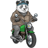 Panda Motorcycle
