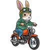 Rabbit Motorcycle