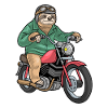Sloth Motorcycle