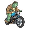 Moto tortue