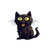 Funny Black Cat