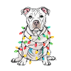 Lustiger Lichterhund mit Weihnachtskette Hund