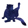 Cat Silhouette Funny Starry Sky