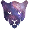 Panther silhouette with purple galaxy space
