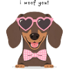 Gravhund I Woof You Valentinsdag Design