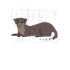 Sea Otter Cartoon Dad
