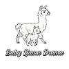 Drame du bébé lama – Lamas mignons