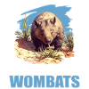 Wombats Wombat