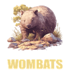 Wombats Wombat