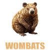 Wombats Wombat