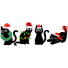 Chat à Noël