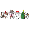 cat in christmas