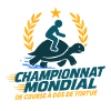 Turtle Race Championship