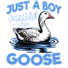 Funny Bird Goose