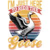 Funny Bird Goose