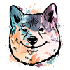 Akita Inu Dog