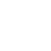 Team Caracal Mascot