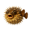 Spiny Fish Underwater Pattern