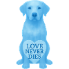 Dog in Heaven-Love never dies