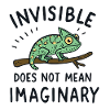 Chameleon Saying: Invisible ≠ Imaginary