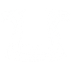 White Viking Dragon