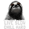 Chilled sloth with sunglasses