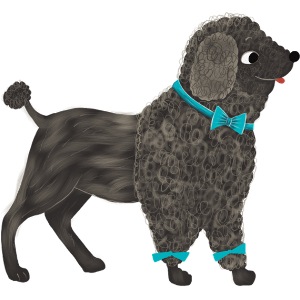 Lustiger Pudel mit türkisem Halsband und Mäschchen