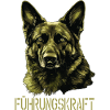 German Shepherd Executive German Shepherd