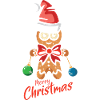 Gingerbread man with Christmas hat