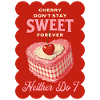 Kuchen Kirschkuchen Kirschen Backen Sauerkirschen