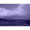 Lavender Fog Landscape