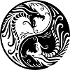 Dragon Yin Yang 