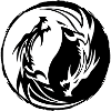 Drache Yin Yang
