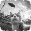 Cat and UFO